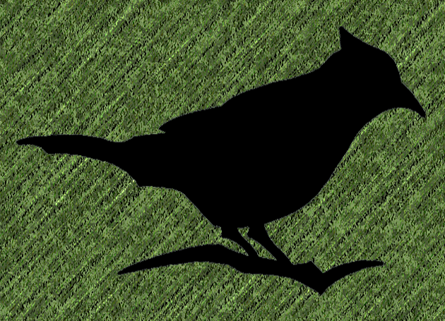 Painted Jay Publishing logo in green